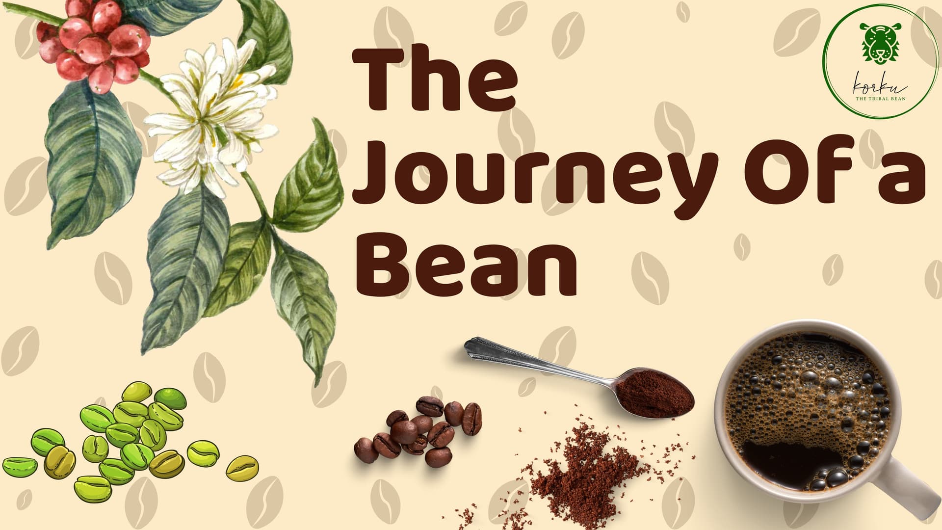 The Journey of a Bean title graphic with a coffee branch, green and roasted beans, and a cup of coffee.